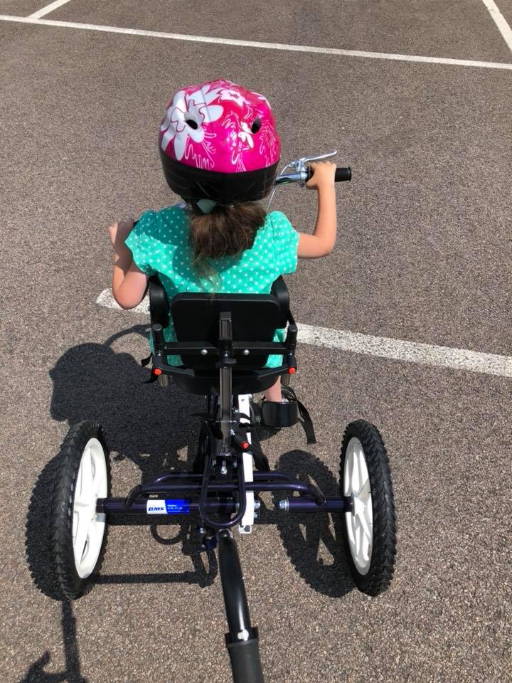 trike rear view