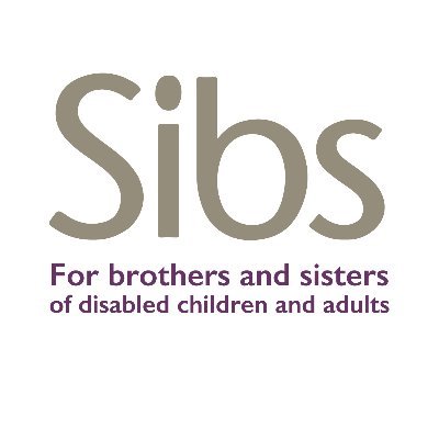 Sibs: Camp in the Cloud for siblings and their families